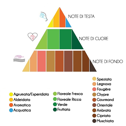 Piramide olfattiva dei profumi